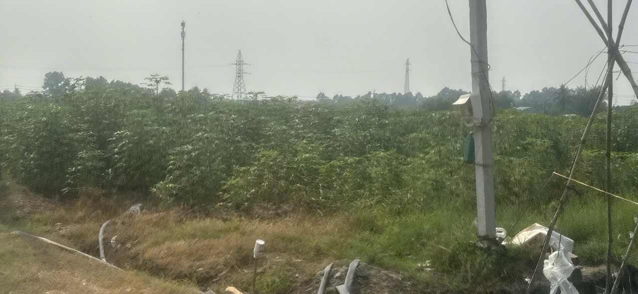 Bán đất 1700m² ngang 37m giá 2.6 tỷ tại Đường Kênh Đông Xã Hậu Thạnh