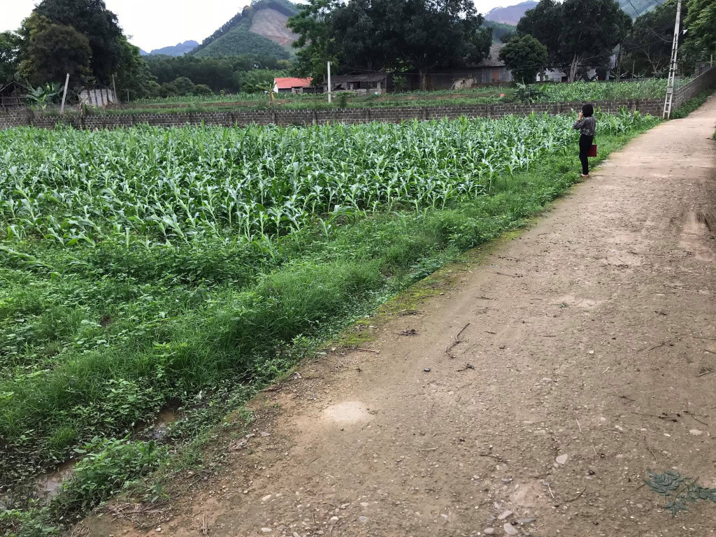 Bán đất ONT+BHK