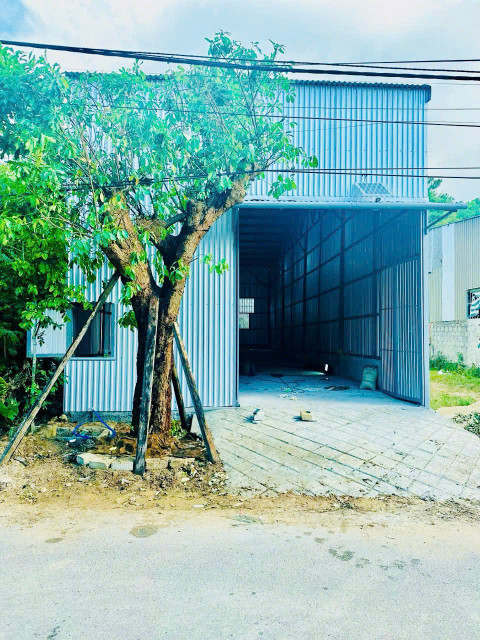🔥 Bán Mặt Tiền Tam Thai tặng Nhà Kho Kiên cố đang cho thuê Thu nhập Ổn định, Phường An Tây, Thuận Hoá, Huế. Giá 2 tỷ 6 XX