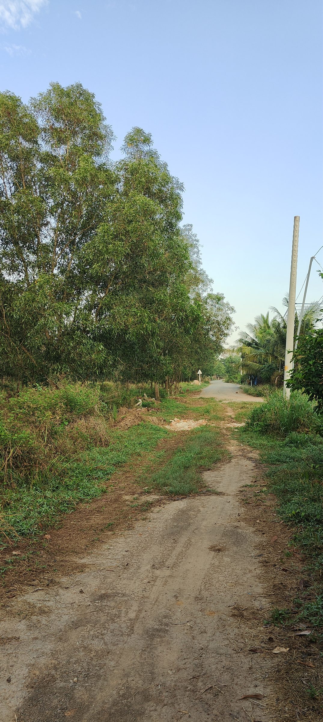 25x46 #An_Điền(cũ) #TP_Ho_Chi_Minh mới #gần_Sungroup_An_Tây. ( Thổ cư 200m²) giá 4,x tỉ