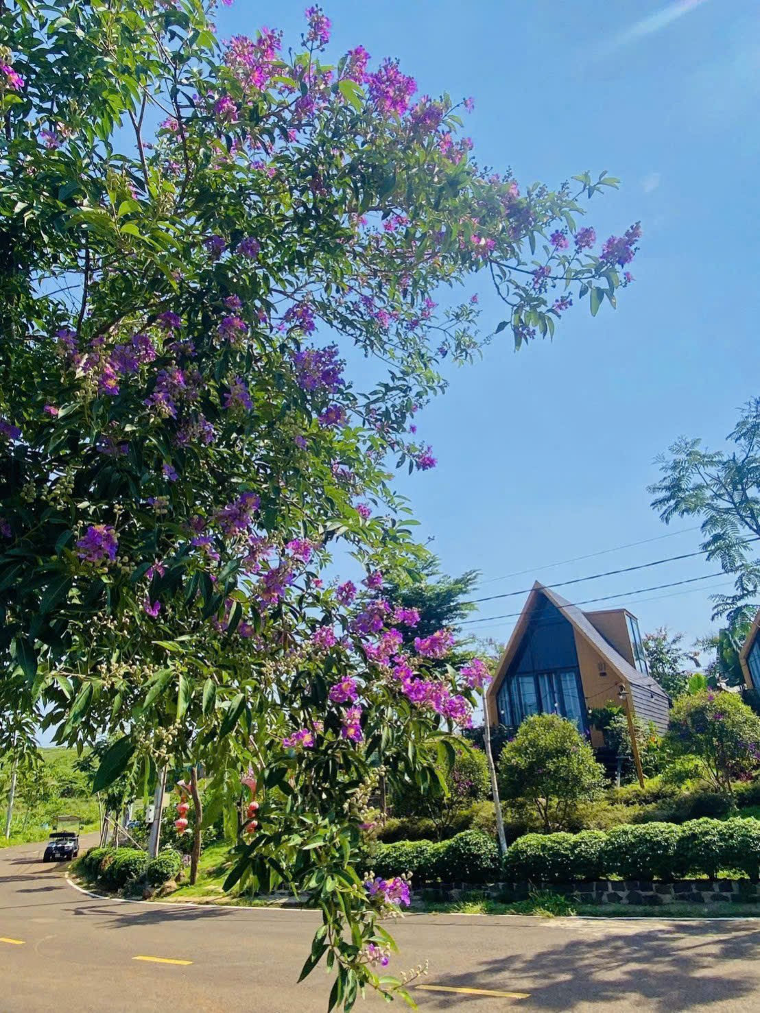 chính chủ bán đất nghỉ dưỡng view hồ liền kề đồi che tâm châu sổ sẵn