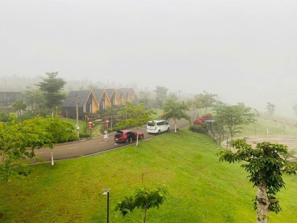 chủ đi nước ngoài nhượng lại lô đất nghỉ dưỡng view rừng thông liền kề đồi chè tâm châu sổ sẵn giá ngộp