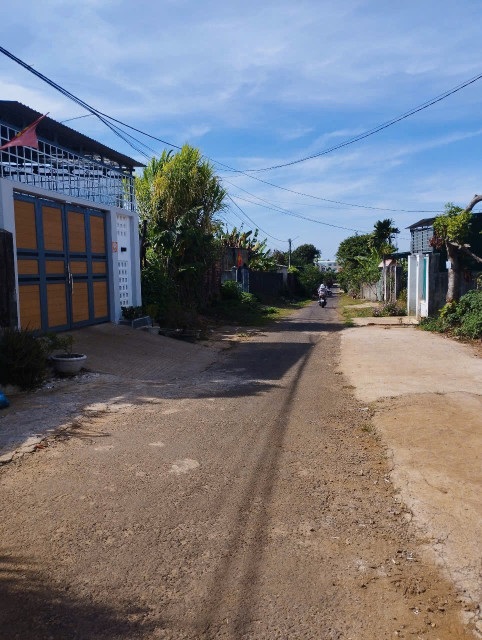 🌳 Đất hẻm Ký Con