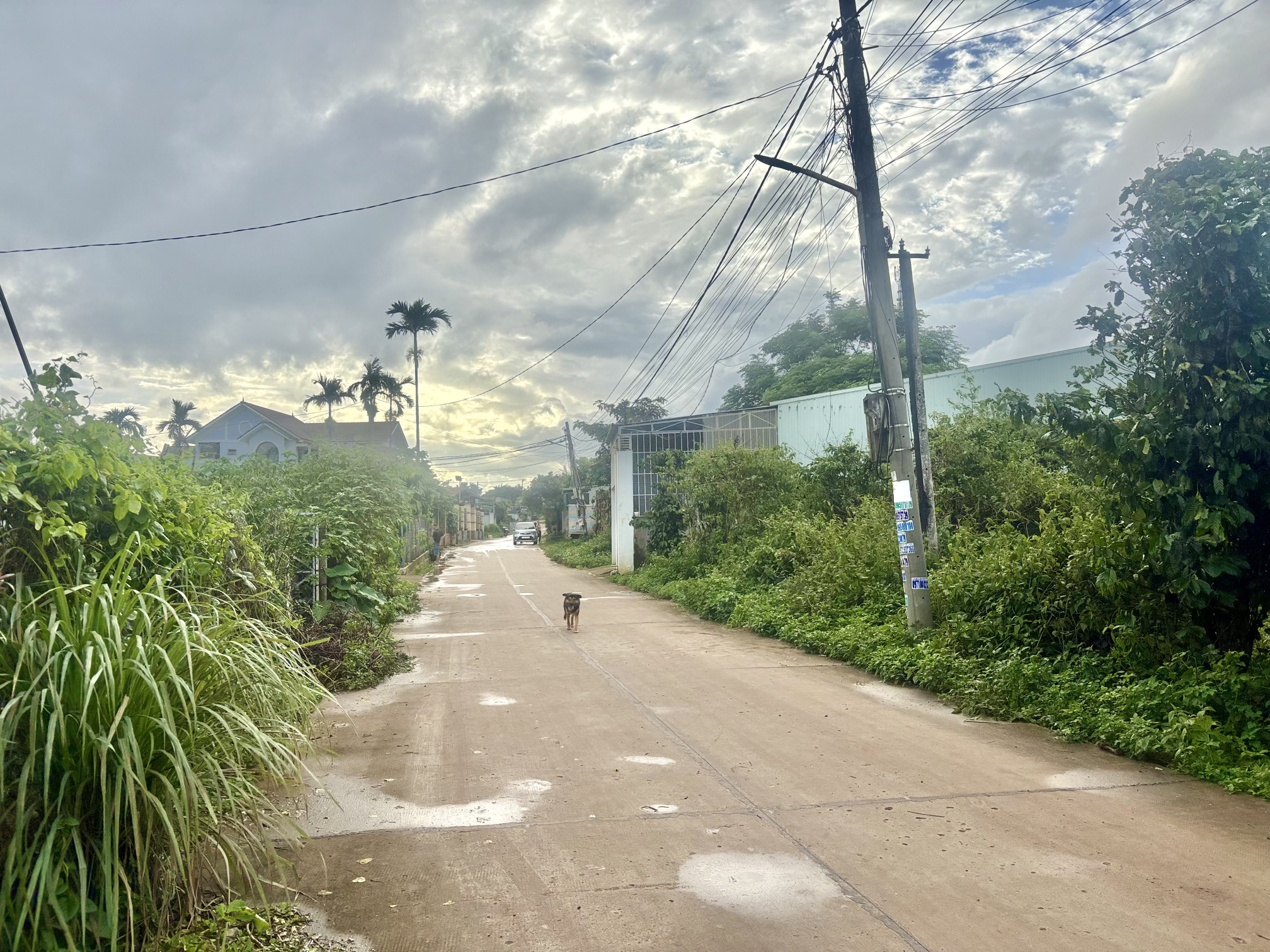 Đất hẻm chính  Lạc Long Quân