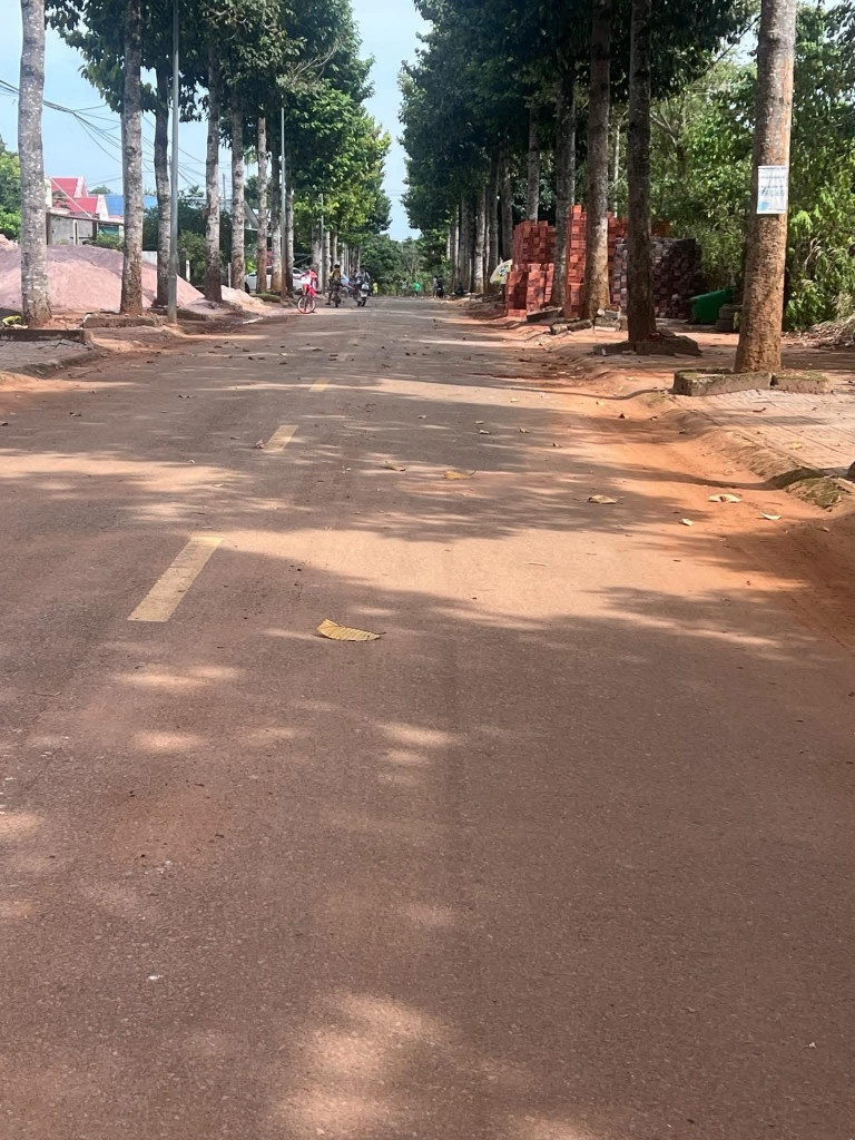 Mặt tiền đường chính có vỉa hè, cây xanh, đèn đường thị trấn Ngãi Giao sát trung tâm thương mại