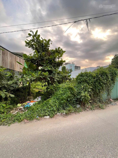 Bán đất diện tích lớn giá rẻ 2,19Tỷ - Lái Thiêu 115, Lái Thiêu, Thuận An, sổ riêng.