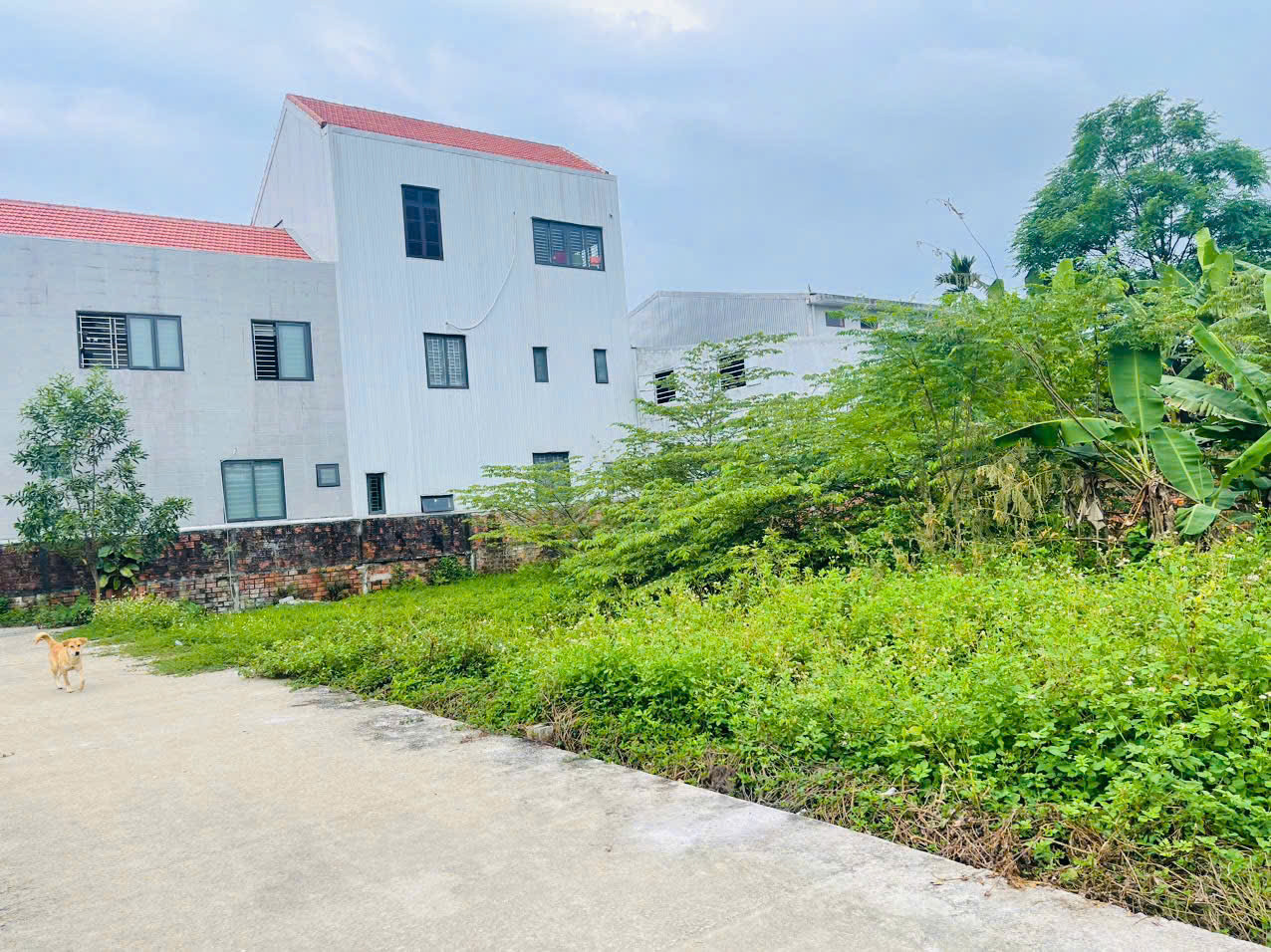🔥 Mở Bán 3 Đất Đẹp Ô tô Lâm Hoằng, P. Vỹ Dạ - Nhanh tay kẻo hết