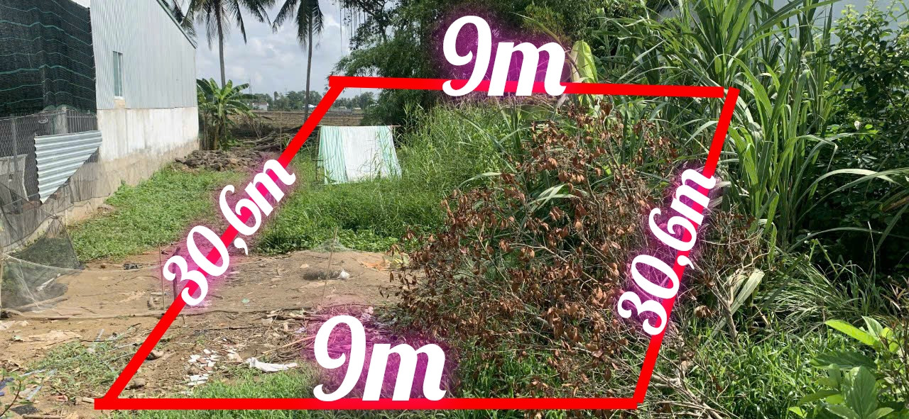 Đất nền giá rẻ huyện Châu Thành