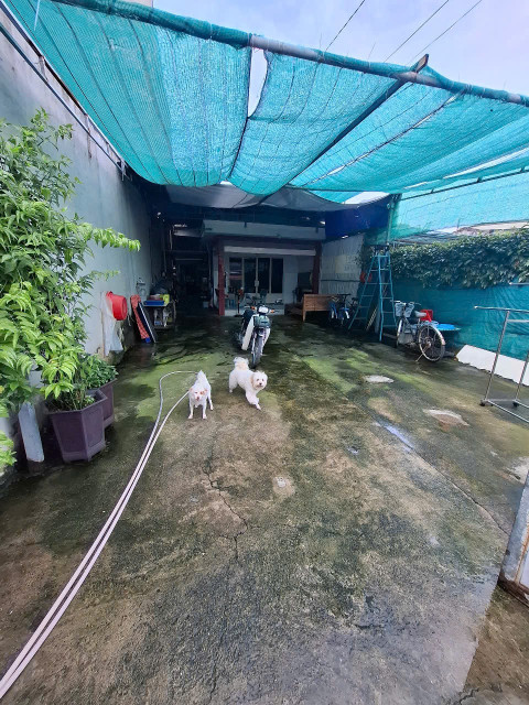 Nhà mt nhánh lâm thị hố trung mỹ tây mới