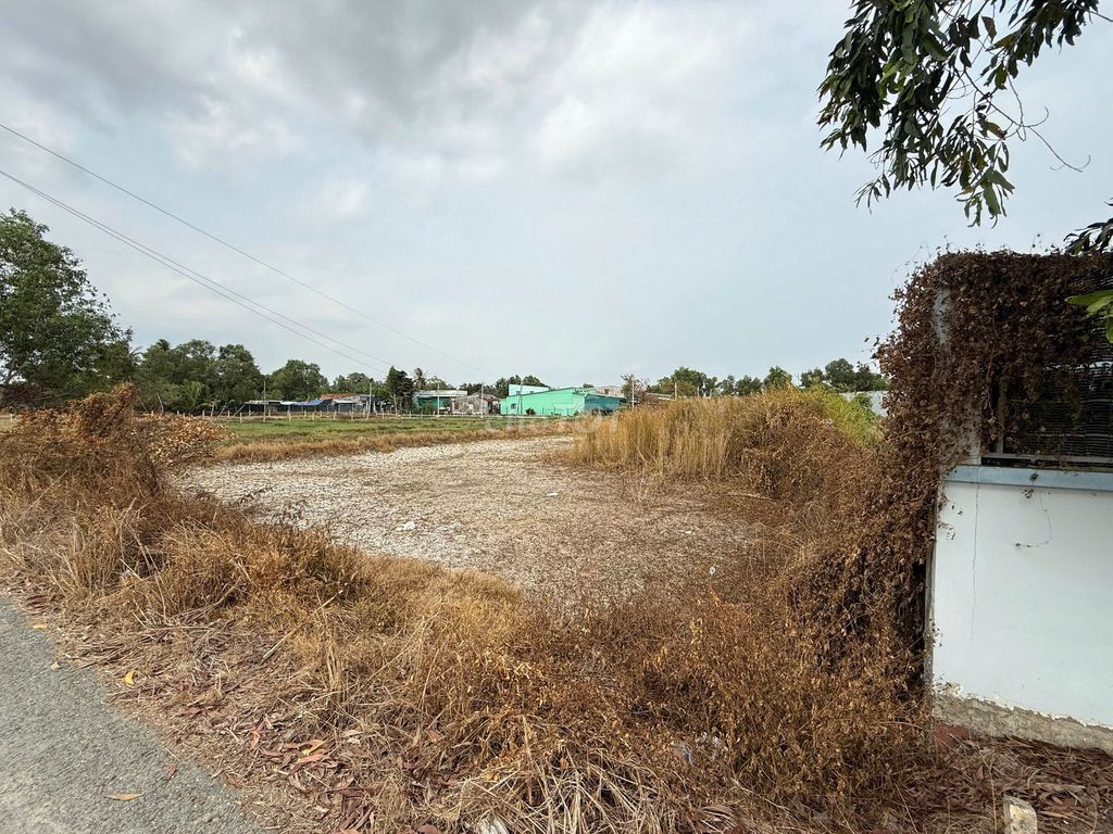 💥 BÁN GẤP ĐẤT MẶT TIỀN ĐƯỜNG LÁNG CÁT — XÃ TÂN NHỰT, BÌNH CHÁNH — 2.000m² — CHỈ 8.5 TỶ TL