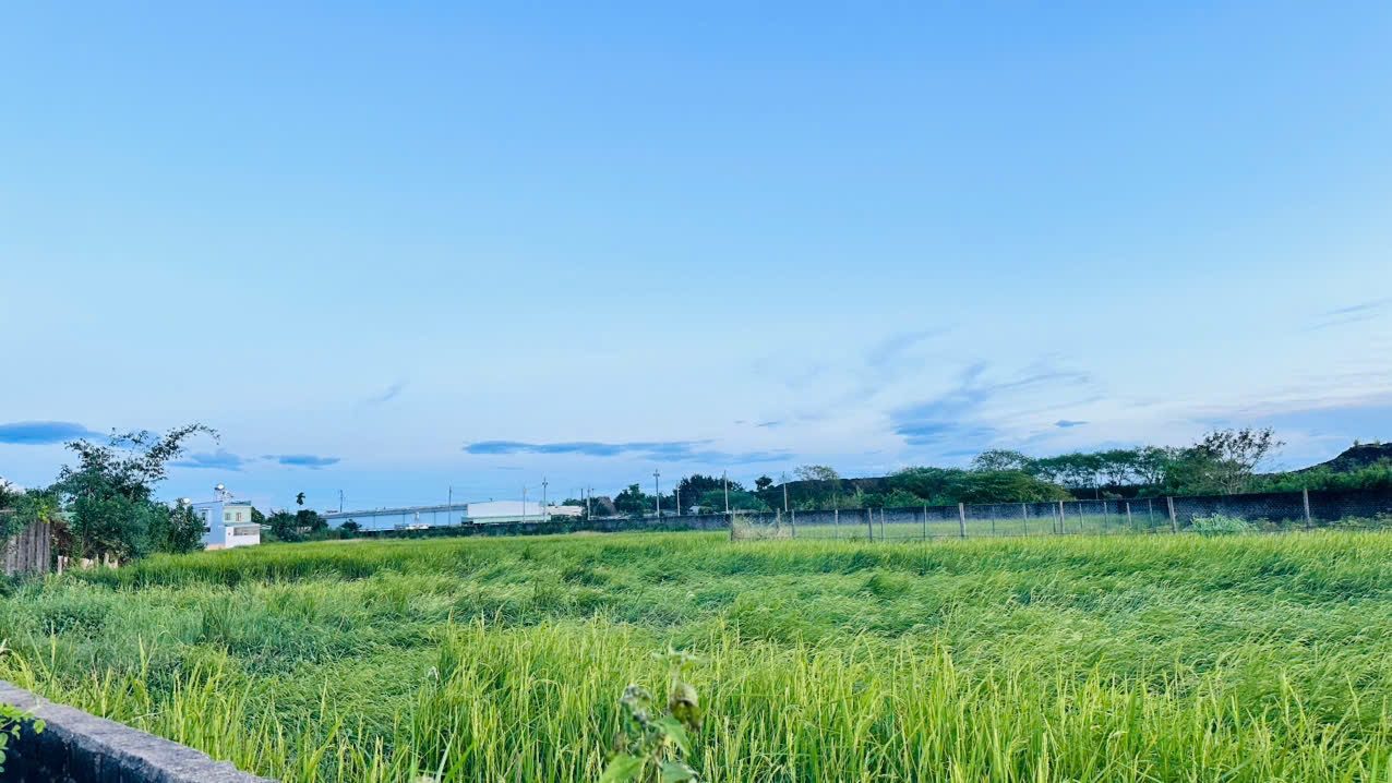 💥 Đất rộng P. Thống Nhất cho anh chị làm nhà vườn