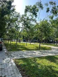 Bán Đất Mặt Tiền Đường Lê Đình Lý View Công Viên ( Khu QH Đông Điện Biên Phủ - Quy Nhơn ) .