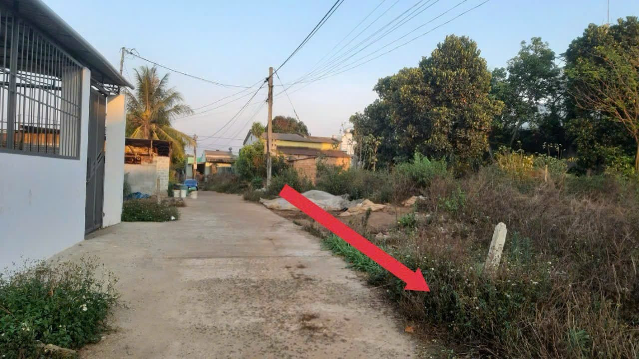 Cần tiền bán gấp
