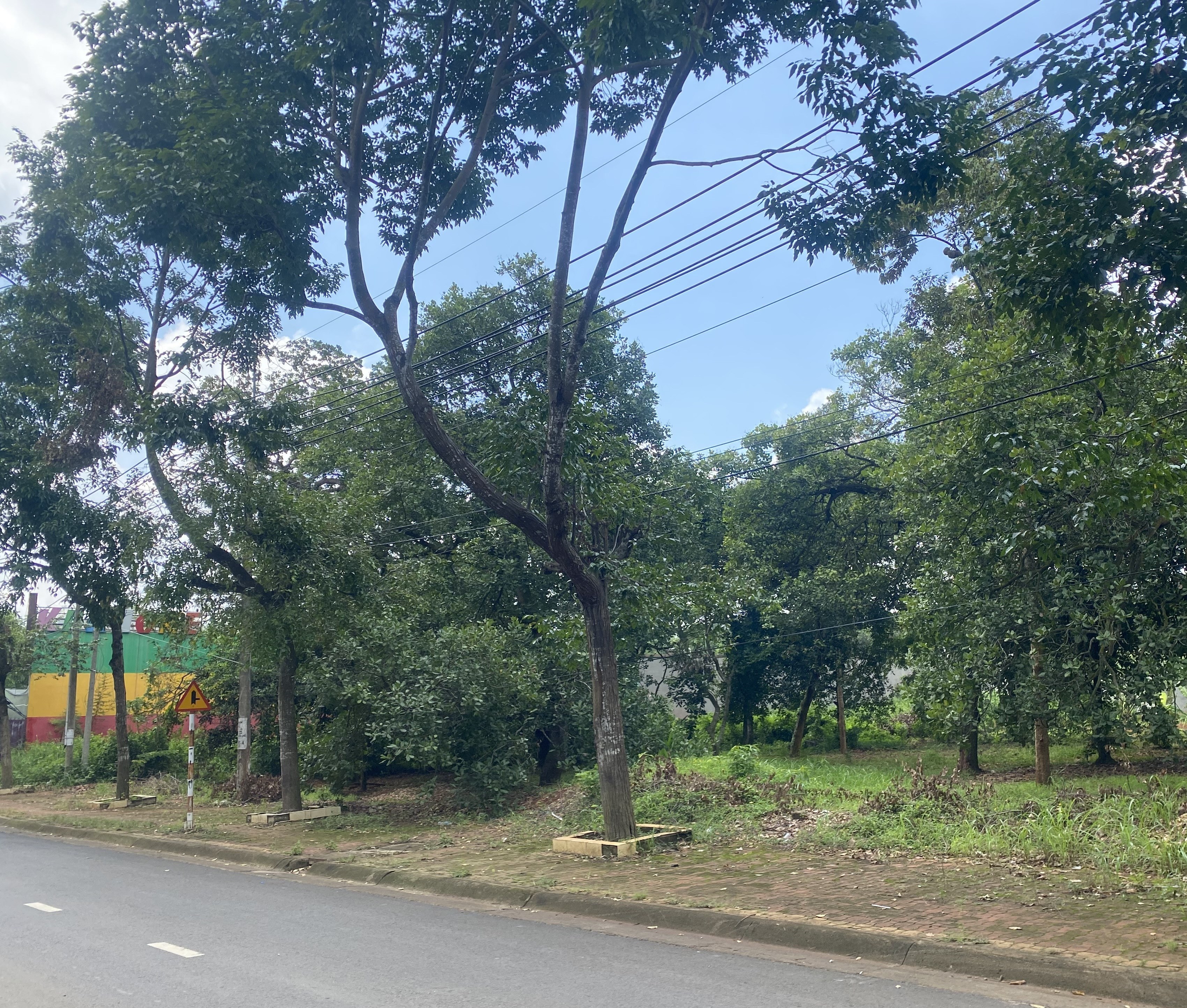 Bán đất 156.5m² có sẵn 90m² thổ cư ngang 6m giá 3 tỷ tại Đường Lê Duẩn Xã Xuân Lộc