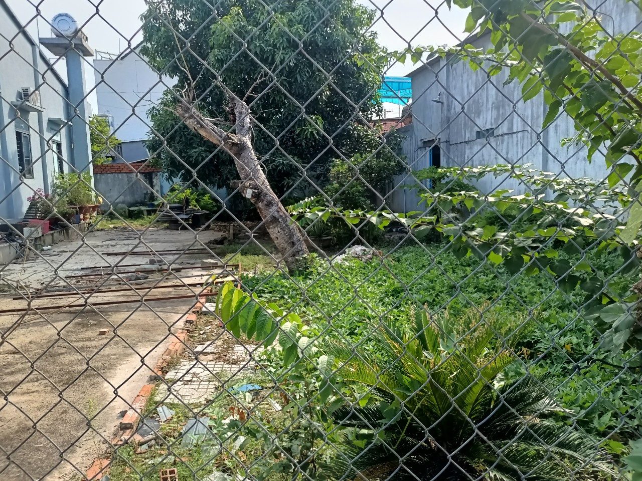 Bán đất 230m² có sẵn 50m² thổ cư ngang 10m giá 3.33 tỷ tại Đường Lê Hồng Phong Phường Gò Dầu
