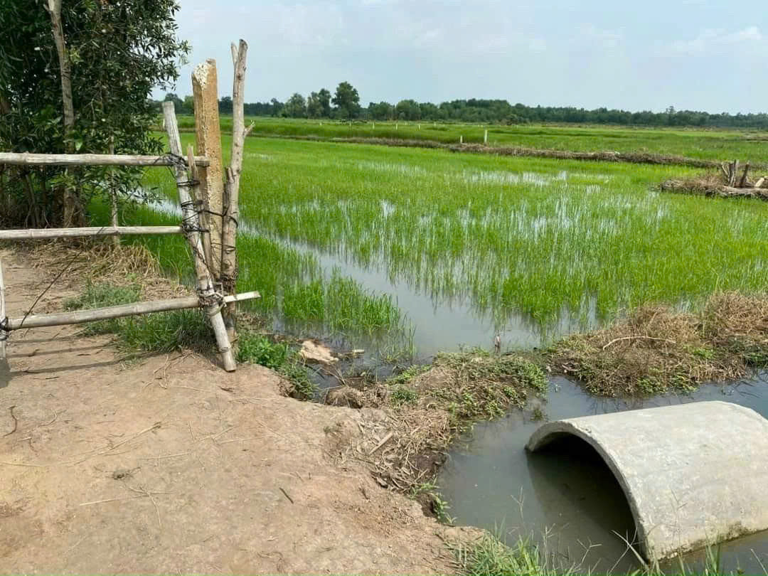 Bán đất vườn siêu rộng – 1 sẹc Cầu Xóm Thuốc, xã Tân An Hội, Củ Chi