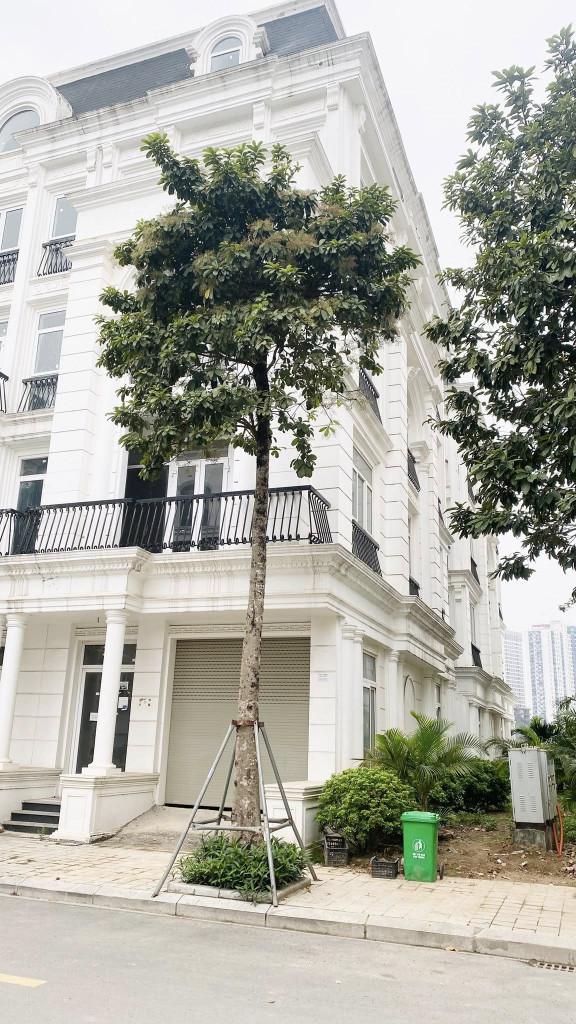 NÓNG: Louis City Đại Mỗ II- LÔ GÓC 3 THOÁNG-105m 5 tầng giá chỉ 29 tỷ (có tl), trước view đường 3 ô tô tránh, sau view vườn hoa, cách 1 dãy ra mặt đường Lê Quang Đạo, (Nói KHÔNG với tin ảo)