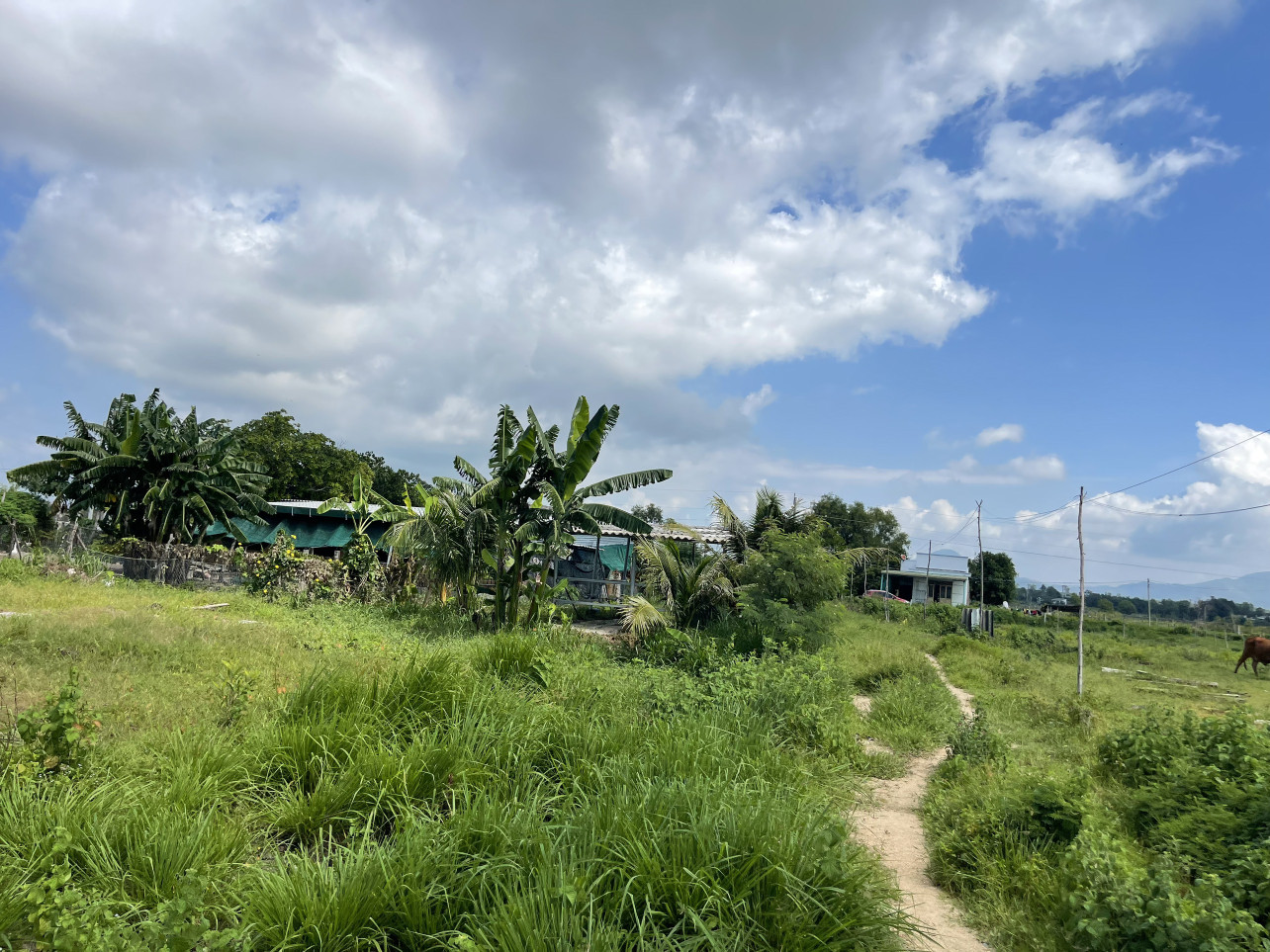 Bán 2000m2 đất thổ cư Lô 2 Lê Quang Định, TX LaGi giá ngộp 1 tỷ/ sào gần biển