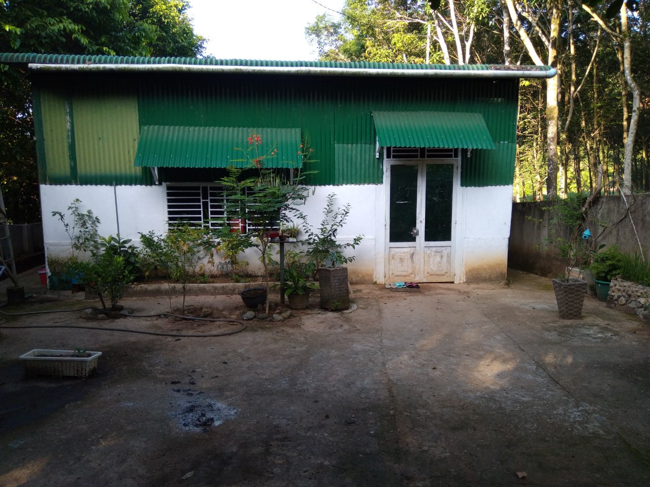 CHO THUÊ KHU NHÀ VƯỜN SINH THÁI MÁT MẺ, KHÔNG KHÍ TRONG LÀNH