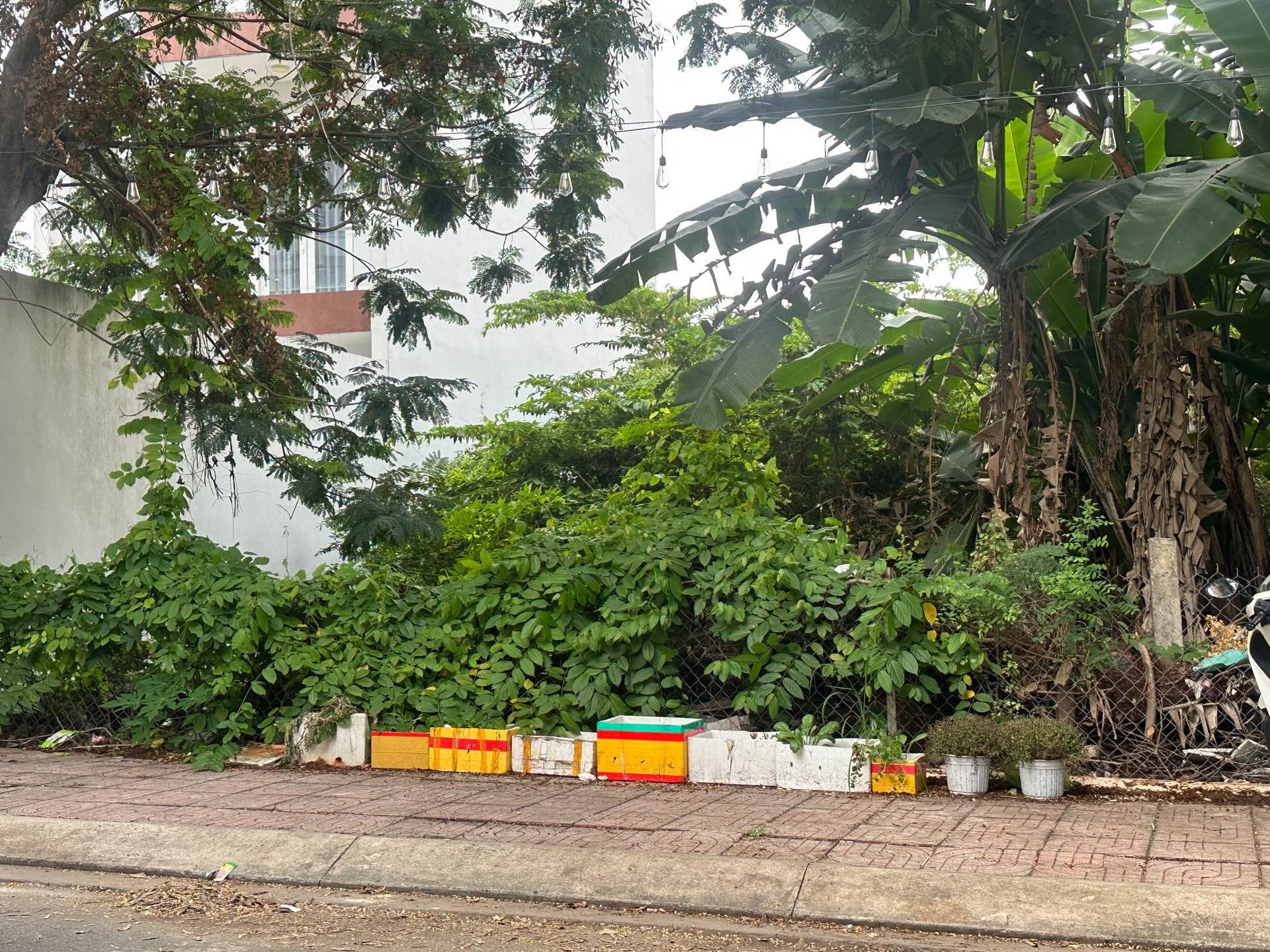 Bán đất mặt tiền Lê Thị Riêng Quận 12, 5x23m, khu dân trí cao, đường 20m. Phù hợp xây biệt thự, văn phòng