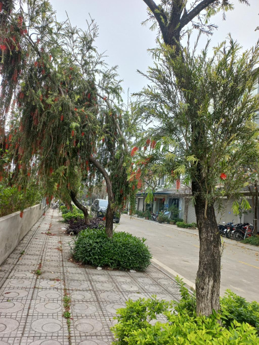 SIÊU HIẾM - VỊ TRÍ ĐẸP - ĐẲNG CẤP SỐNG XANH KĐT Geleximco - Lê Trọng Tấn