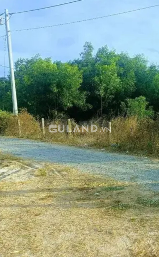 Bán đất nông nghiệp vuông vức tại ngã ba đường có mặt tiền đường nhựa sat
