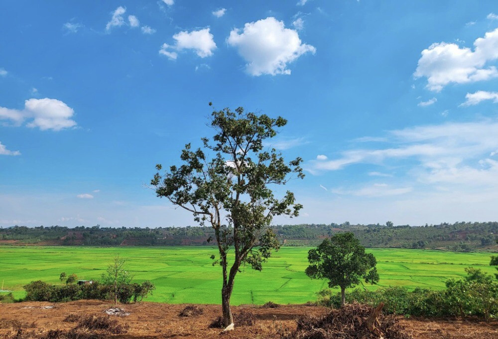 🏕 Sang hơn 1sào 5 đất view ruộng hẻm Lê Văn Sỹ