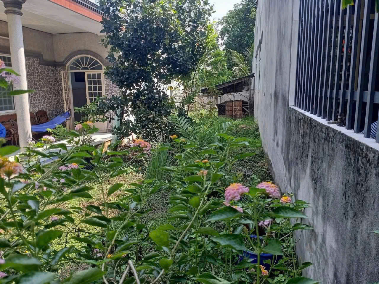 Đất Tương Bình Hiệp-1/Lê Văn Tách vào 50m nhựa oto né nhau gần bên Chợ Mới vị trí đẹp