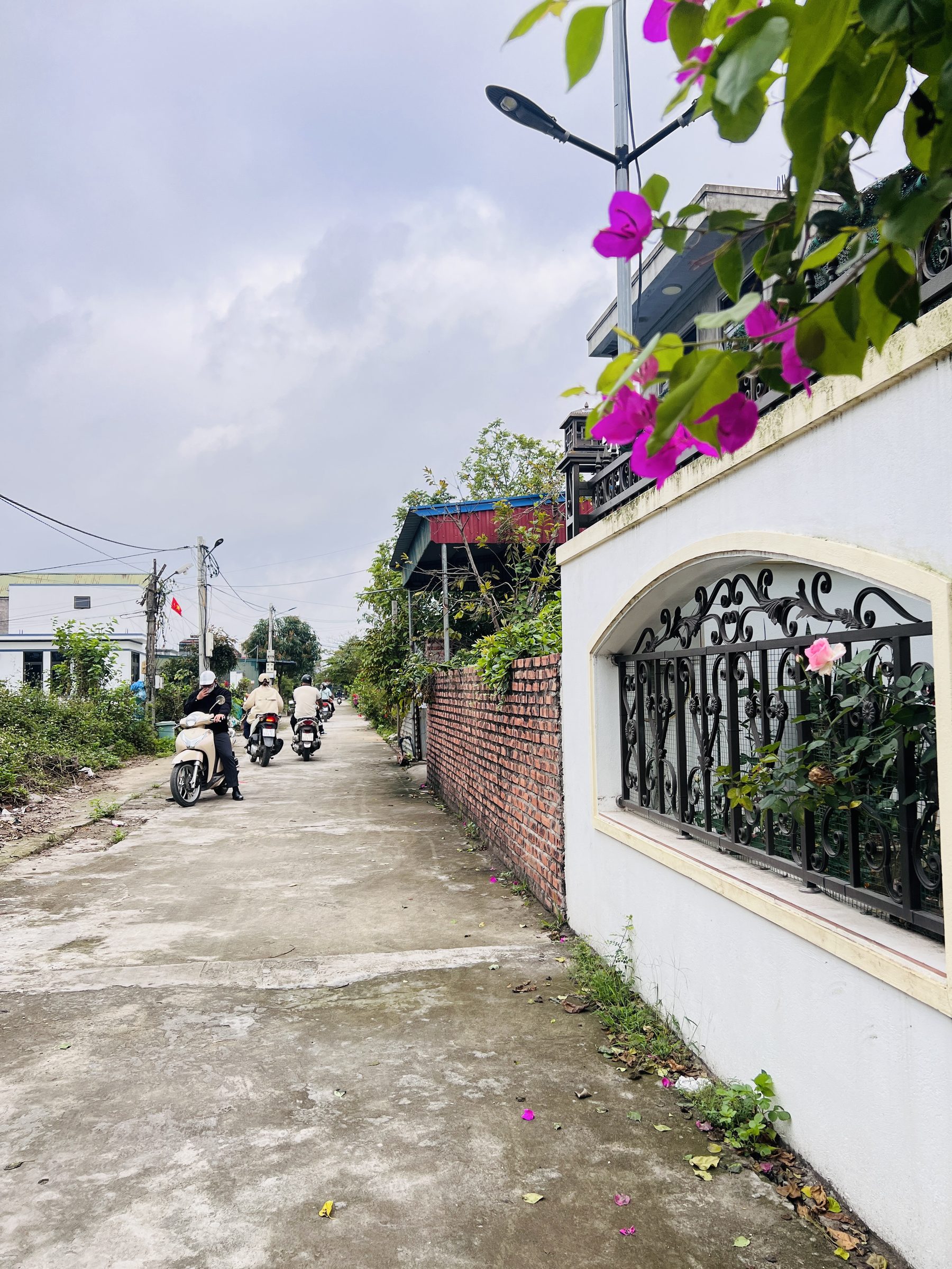 Lô đất đẹp 99m tại Lâm Động - Thuỷ Nguyên✅sát đường 203 và KCN Nam Cầu Kiền