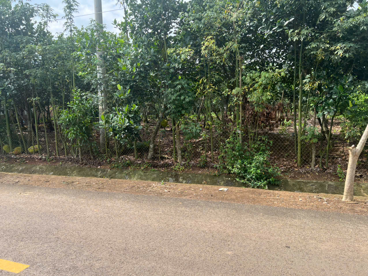 Bán đất 2272.4m² có sẵn 200m² thổ cư ngang 22.9m tại đường Liên Xã Xã Bảo Lâm 2