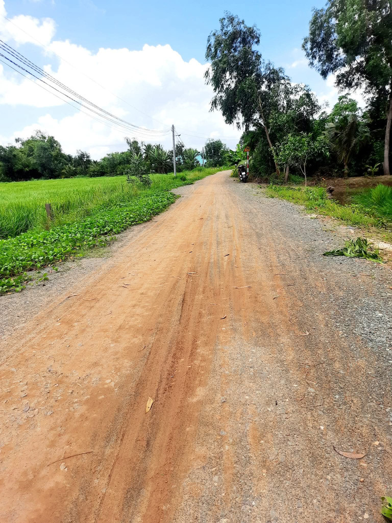 Chính chủ cần bán 5800m lúa mặt tiền liên xã Phước Tuy Tân Lân