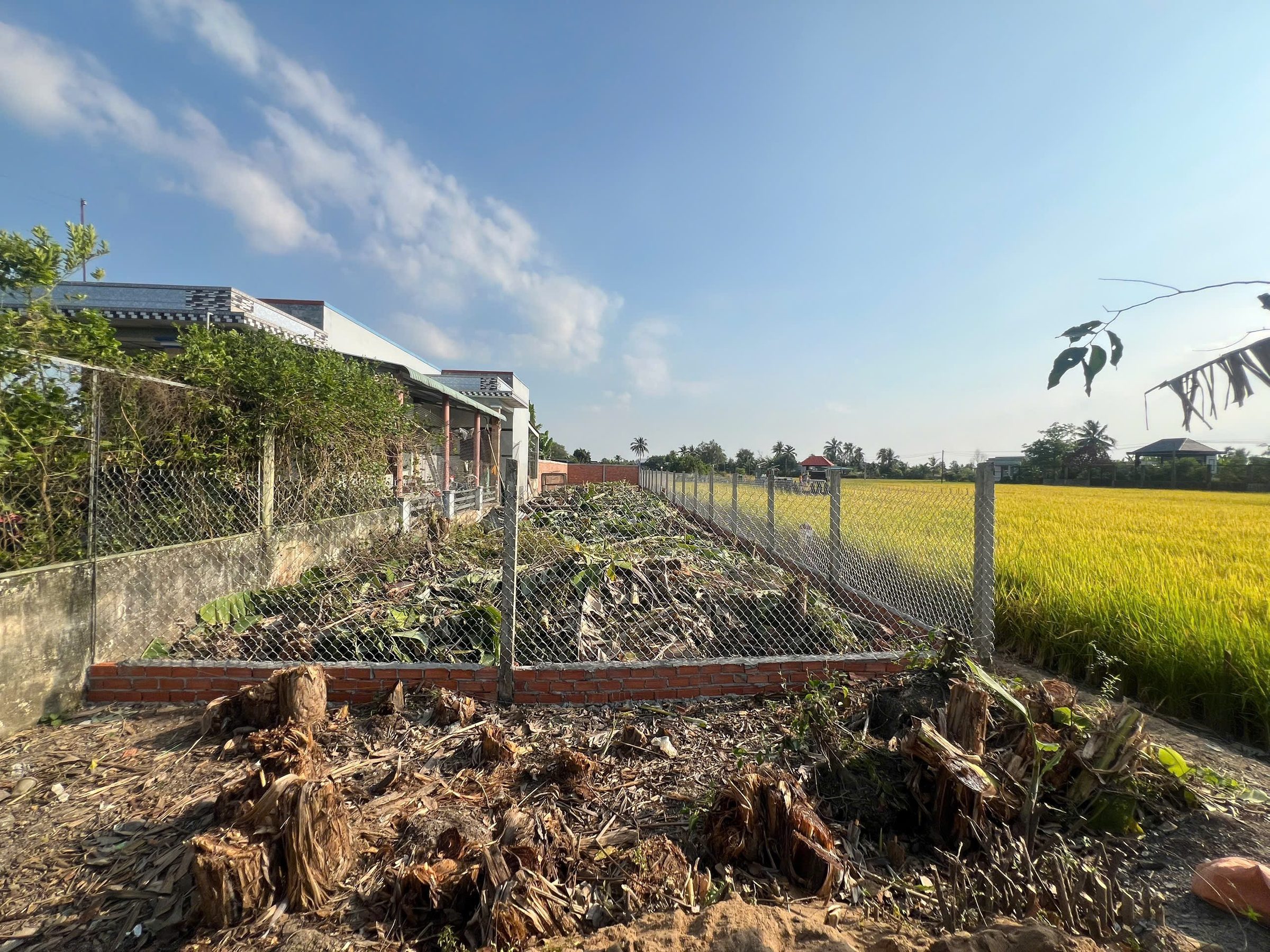 Nền Full Thổ Cư 375m2 (7,4x52) mặt tiền liên xã Long Hoà - Phước Vân 9m nhựa, Cần Đước, Long An