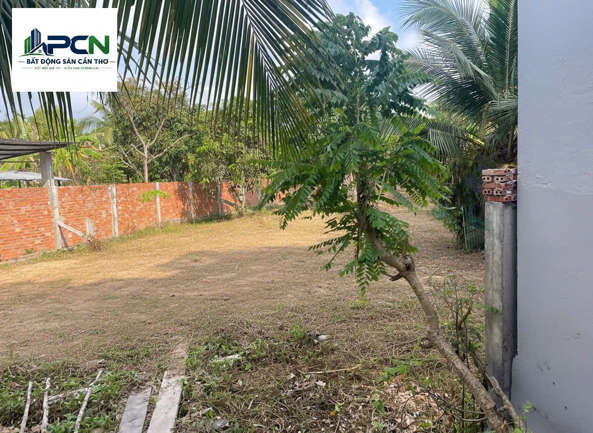 Bán đất 1500m² tại Đường Lộ Vòng Cung Phường An Bình, Cần Thơ.