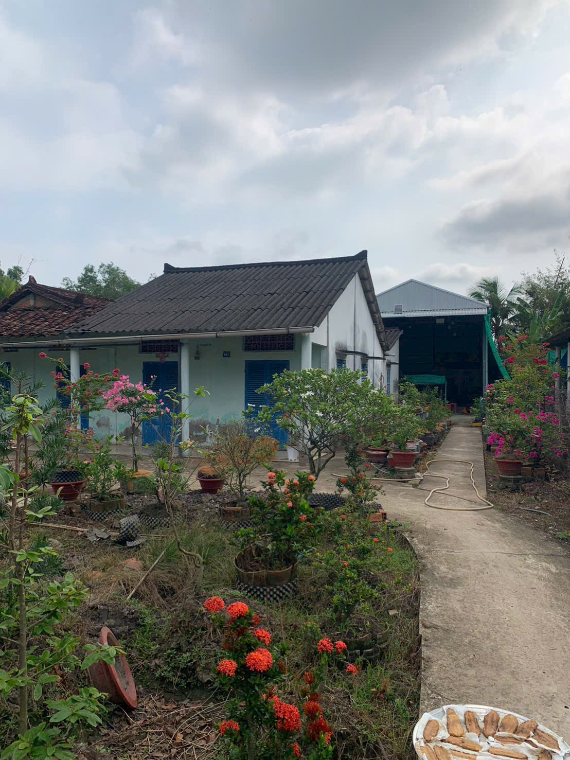 Nhà vườn 1.152m2 phước toàn mỹ yên cách bình 4km