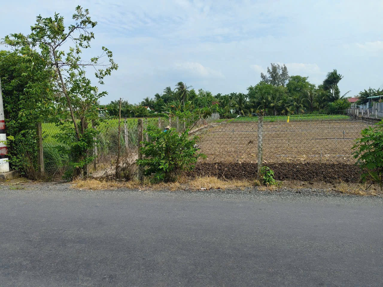 Bán đất 5x30m thổ cư, mặt tiền liên xã Phước Vân - Long Khê, Cần Đước, Long An