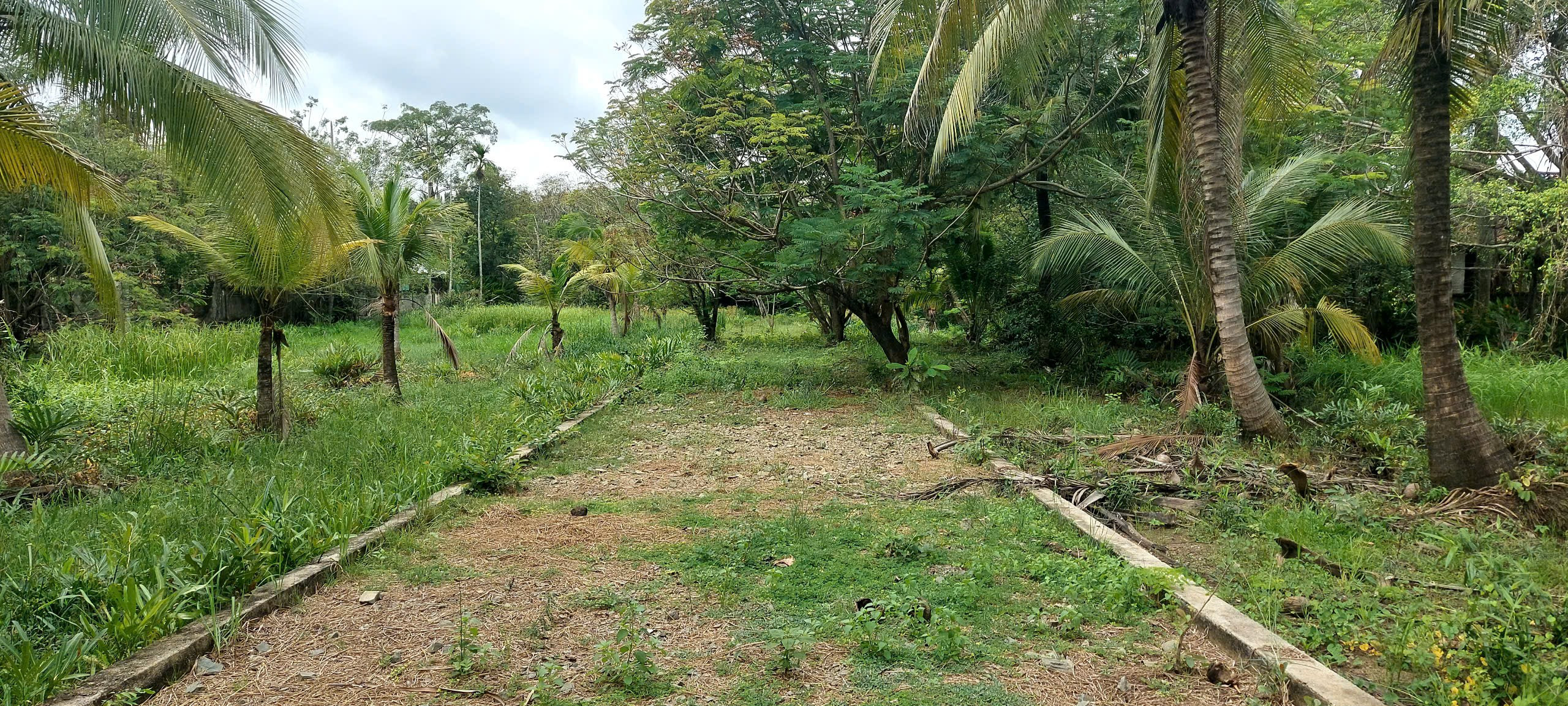 Bán đất view Sông Tắc đường 10 Long Phước