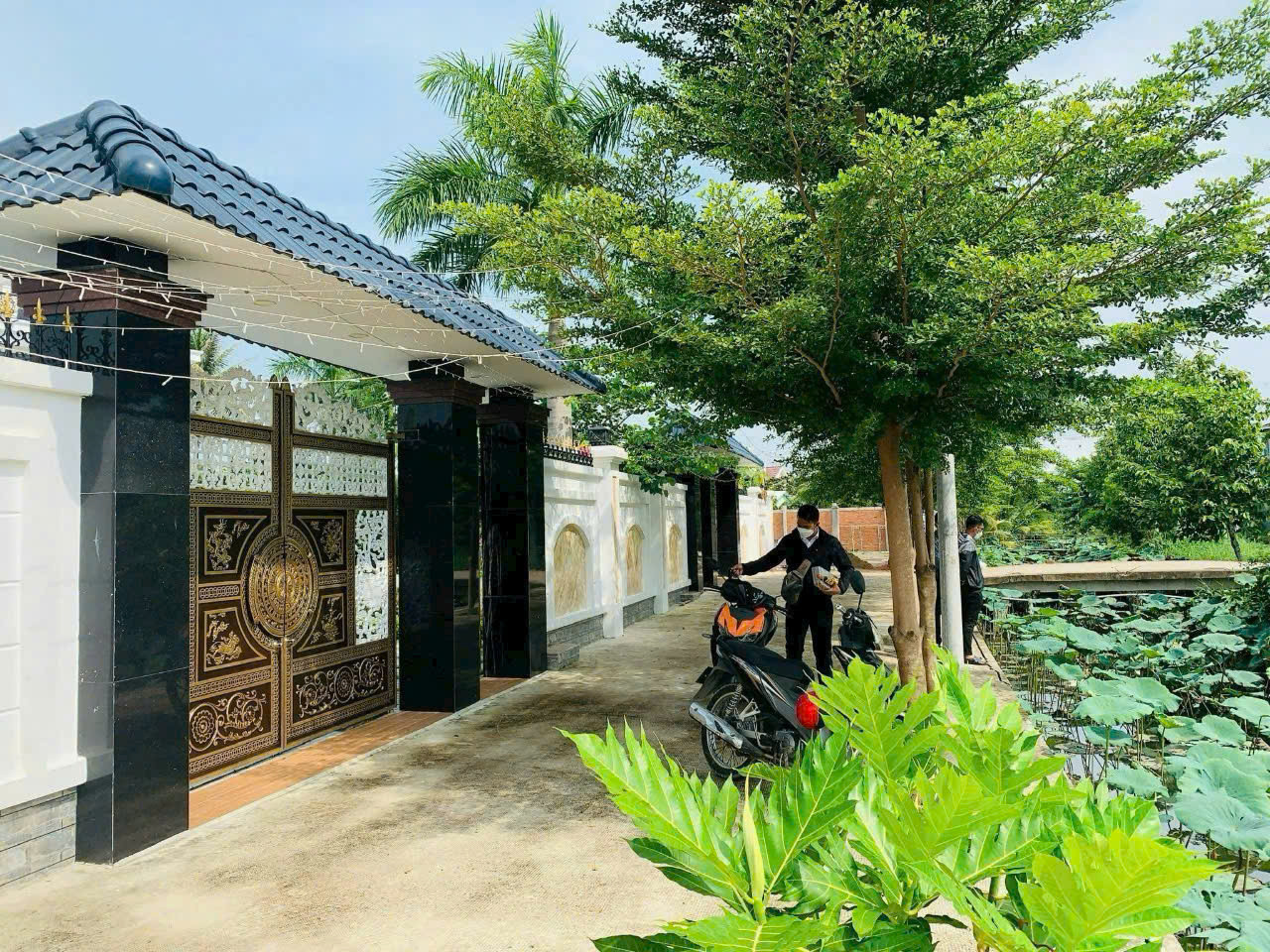 Nhà vườn đẹp xã Long Trạch, Cần Đước, Long An tổng dt 1000m2 giá 10 tỷ
