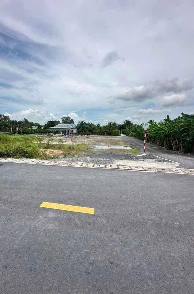 Đất 1000m2 có 884m2 thổ cư, 3MT Lương Ngang, Tân Nhựt, Bình Chánh, giá 13,5 tỷ