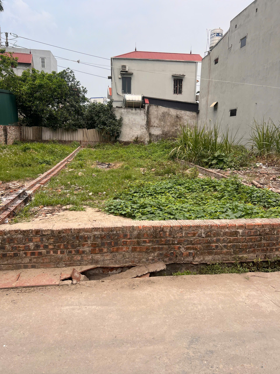 SIÊU PHẨM TRỤC CHÍNH LƯƠNG QUY- XUÂN NỘN- ĐÔNG ANH