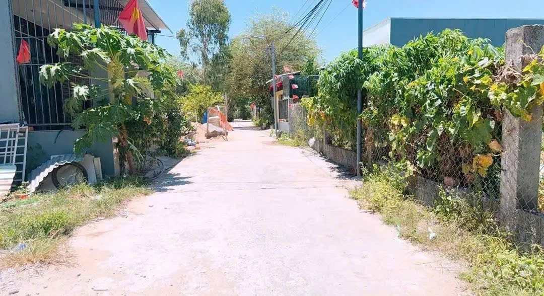 Đất Lưu Quang Vũ Hòa Quý 87m2 📌📌📌LÀM VIỆC TRỰC TIẾP GIÁ TỐT !!!