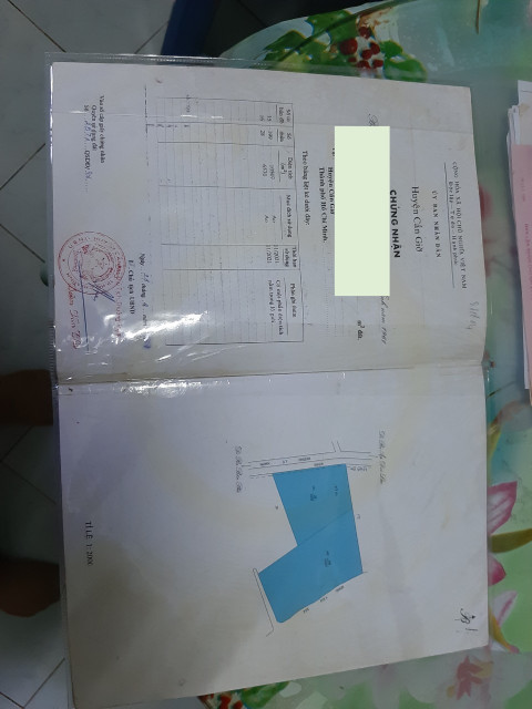 Bán  đất nông nghiệp 17007m² , giá 42 tỷ tại đường Lý Nhơn, Xã An Thới Đông, Huyện Cần Giờ, TP. Hồ Chí Minh