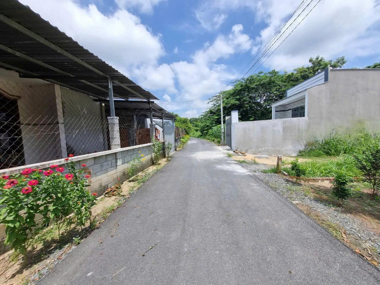 BÁN ĐẤT GIÁ RẺ – ĐƯỜNG LÝ THỊ CHỪNG, PHÚ HÒA ĐÔNG