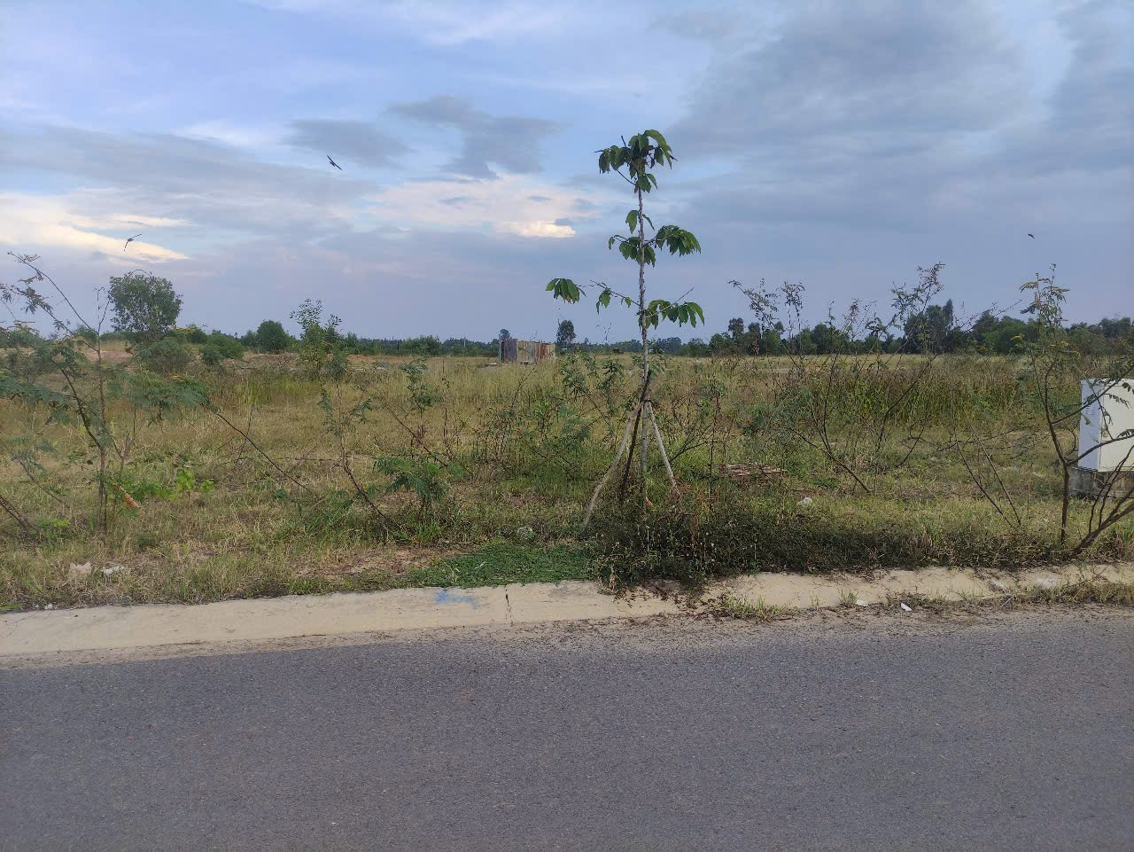 Bán đất mặt tiền Lý Thường Kiệt Thị xã Kiến Tường