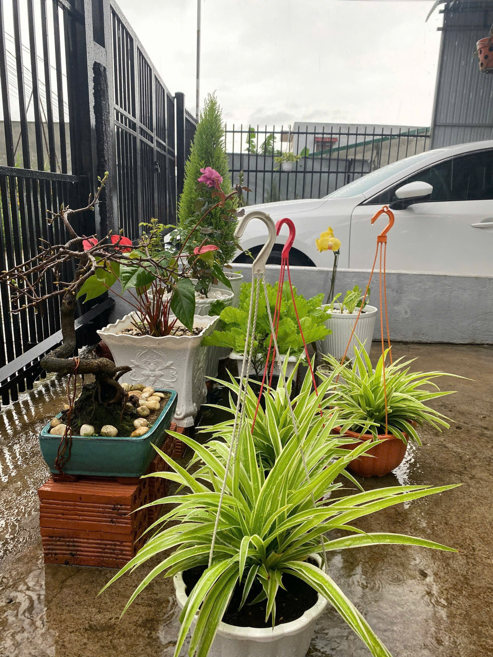Nhà 2 Mặt tiền Trung tâm Đức Trọng. Gần chợ 2pn 1ty89