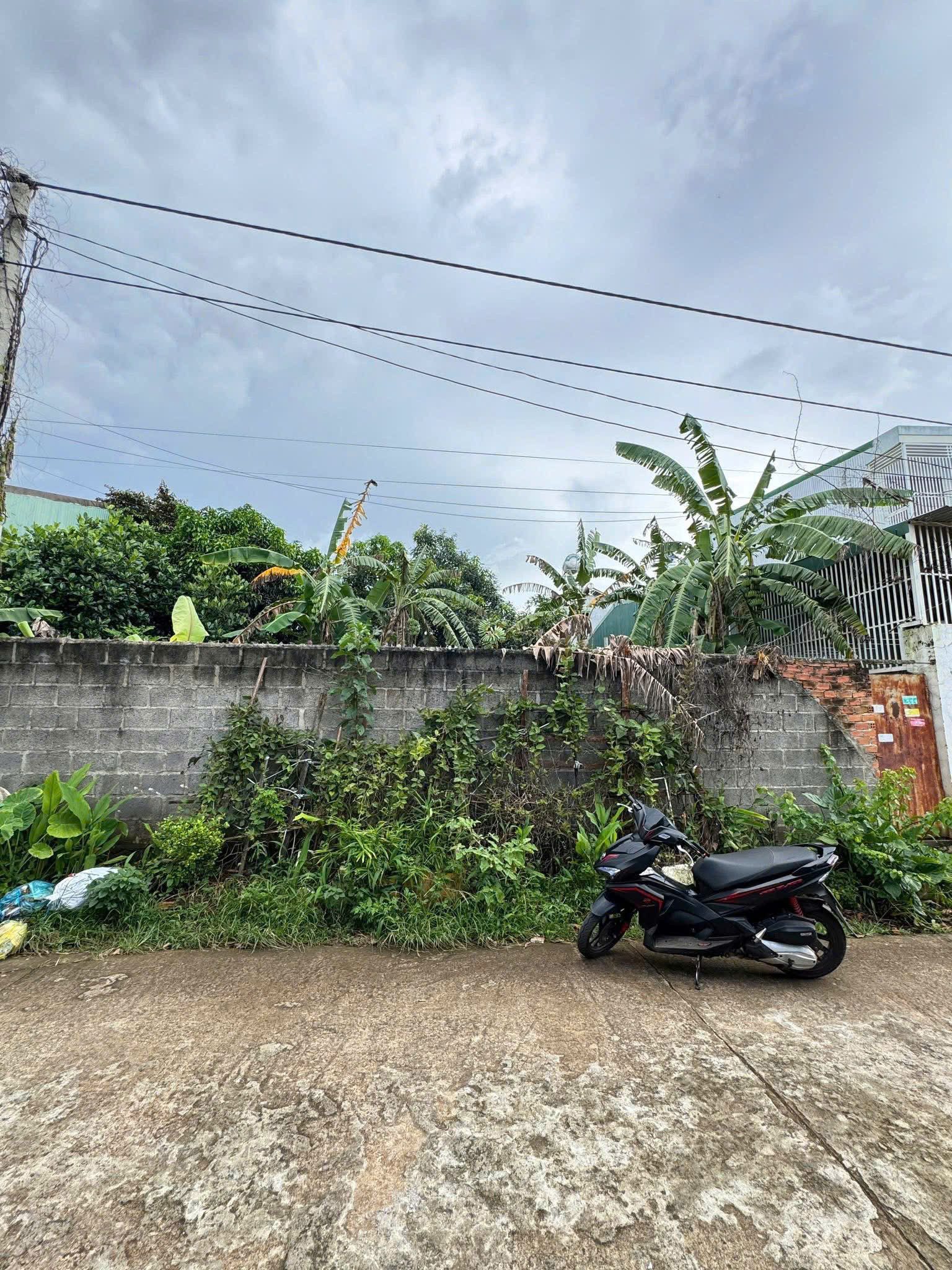 🌺Bán lô  Đất đẹp  hẻm 170 Mai Hắc Đế