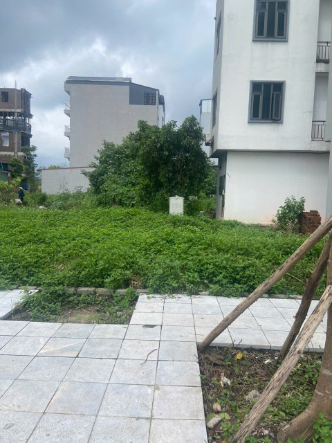 Bán đất Đấu Giá Mai Lâm Đông anh- Hàng xóm Vin Cổ Loa- 75m Oto tránh Vỉa hè nhỉnh 11 tỷ ( TL)