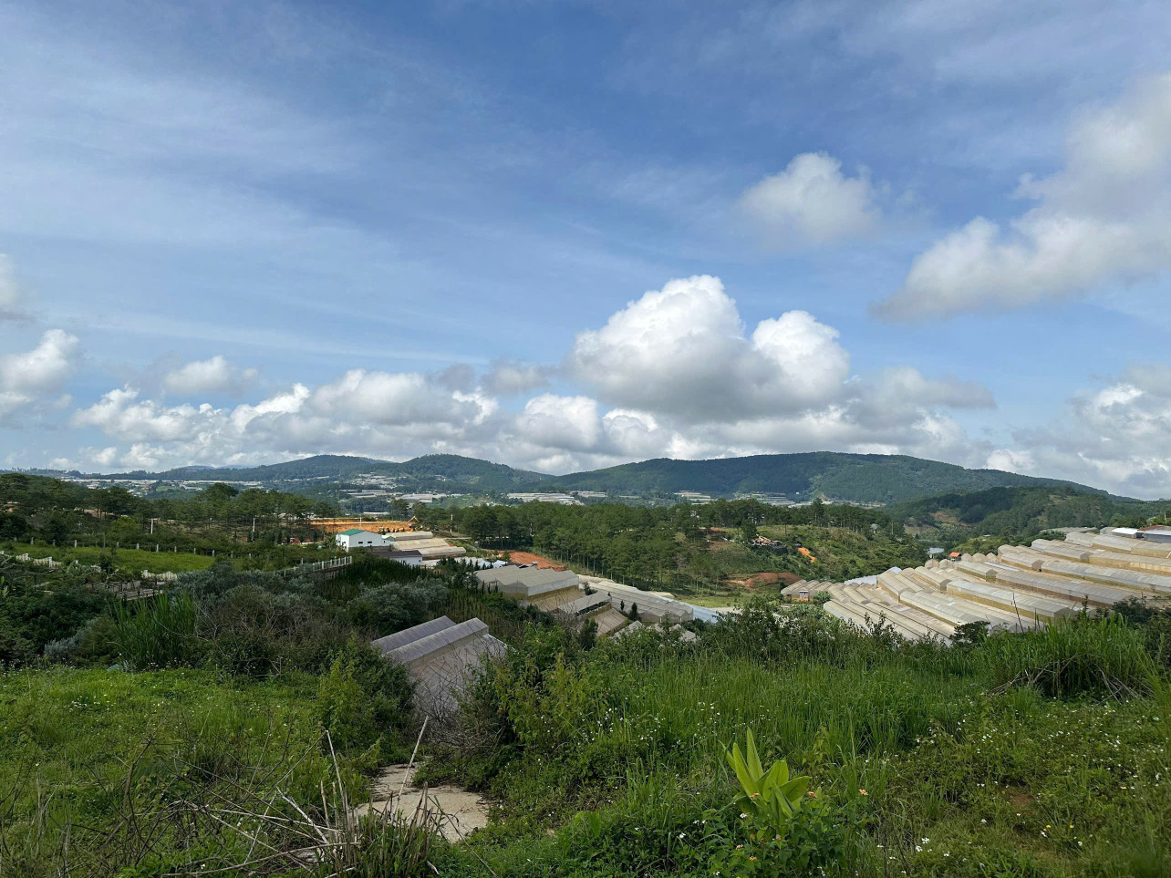 Giá đầu tư đất Măng Lin 267m2 ngang 19m view rừng thông săn mây