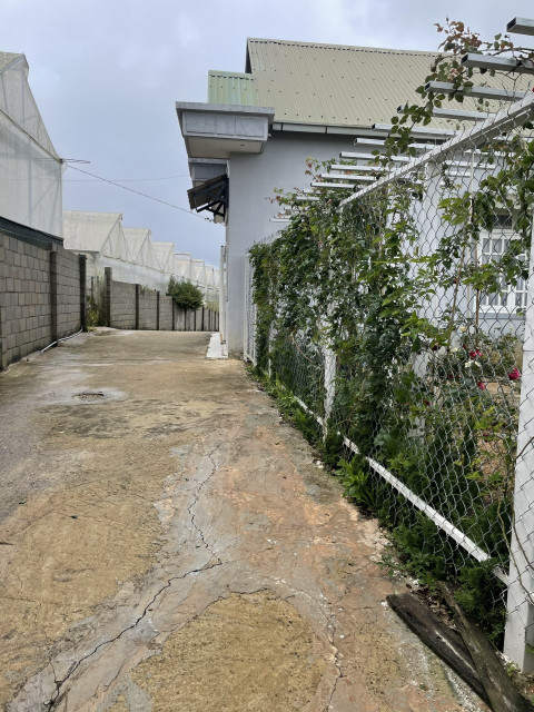 Bán  đất thổ cư 241m² , giá 5.6 tỷ tại đường Măng Lin, Phường 7, Thành phố Đà Lạt, Lâm Đồng