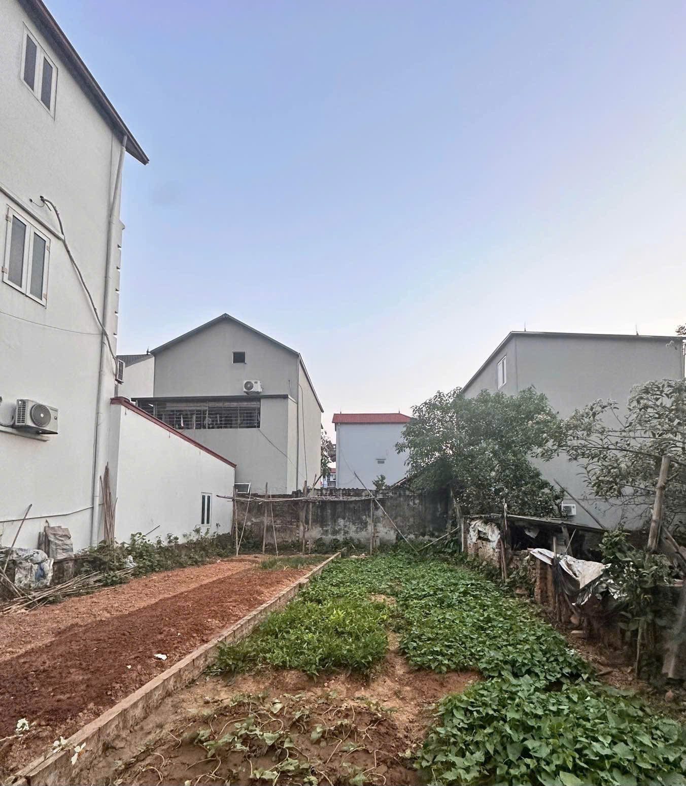 🔥 76m² Trung Hậu Đông – Xã Mê Linh, gần QL23 – đường oto
