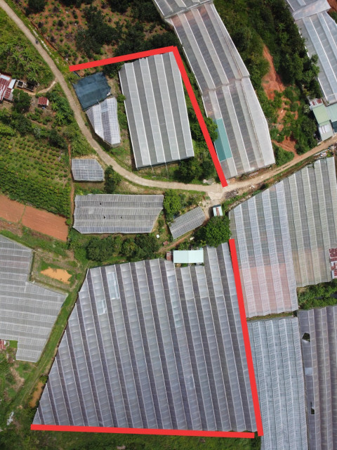 Bán  đất nông nghiệp 9000m² , giá 36 tỷ tại đường Mimosa, Phường 10, Thành phố Đà Lạt, Lâm Đồng